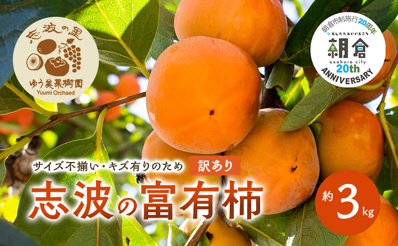 【朝倉市制施行20周年記念企画】  訳あり 志波の富有柿 約3kg 柿 ※配送不可：離島