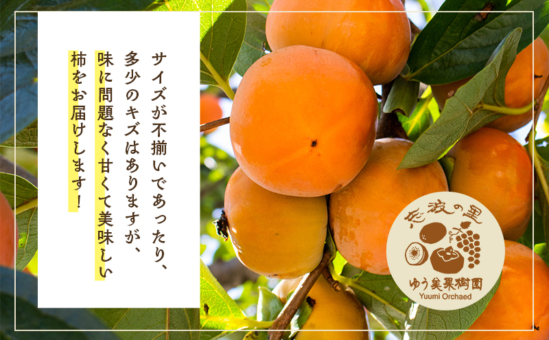 【朝倉市制施行20周年記念企画】 訳あり 富有柿 約3kg＆柿の半生キャラメル セット ※配送不可：離島