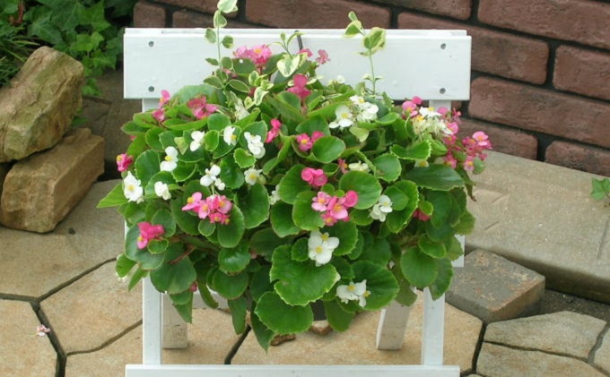 季節のお花でハンキングバスケット（ピンク系）