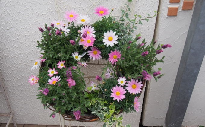 季節のお花・サークルハンギング