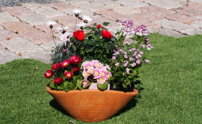 可愛いピンクのお花たっぷりの寄せ植え（舟形Mサイズ）1個