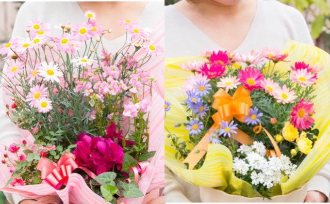 【母の日 ギフト】季節のフラワーバスケット【白鉢】（オンライン決済限定） 花