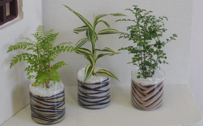 カラーサンド 3個セット（ブラウン・シック系）