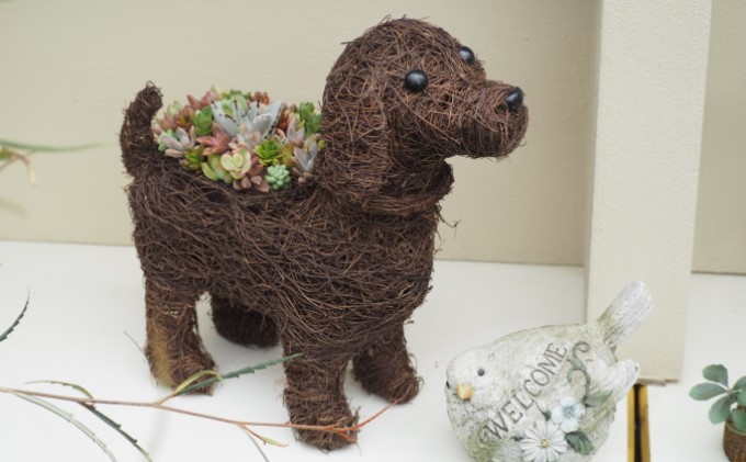 まるで多肉の宝石箱♪チビわんこの多肉植物 寄せ植え（1個）