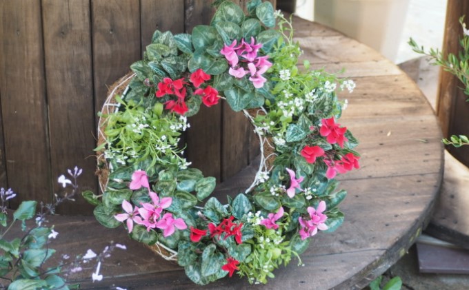 ガーデンシクラメンのサークルハンキング（直径35cm） 植物 お花 お庭 ガーデニング 癒し グリーン インテリア ビックサイズ アイアンサークル アリッサム 鮮やか