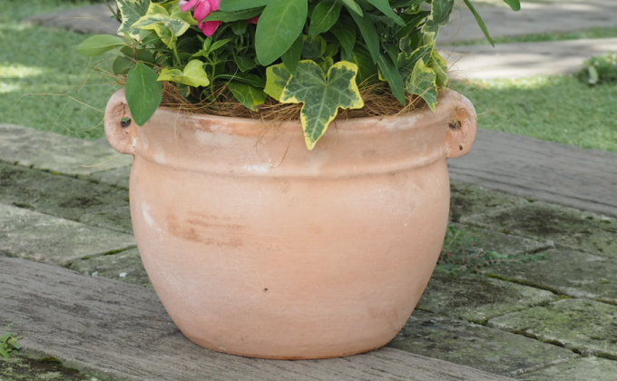 植物 寄植え 花 季節のお花 寄せ植え つぼ丸型 ピンク系 25cm