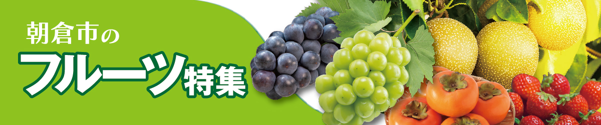 朝倉市のフルーツ特集