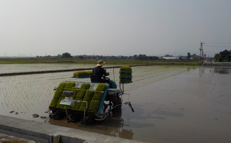 米 5kg 玄米 ゆめつくし