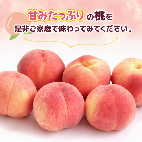桃 朝倉市産 約4kg 12～20玉 もも モモ 果物 デザート ※配送不可：離島