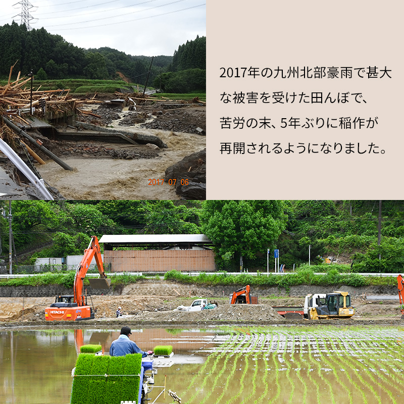 米 5kg 恵つくし 奇跡の一粒 5kg×1 令和7年産 お米 こめ コメ 新品種
