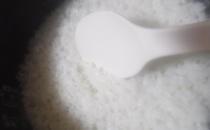 お米10kgと季節のお野菜セット