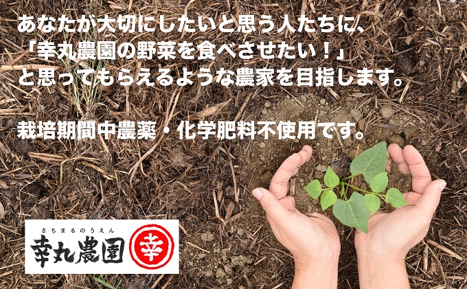 ジュース にんじん さちまる農園のにんじんジュース　710ml×2本