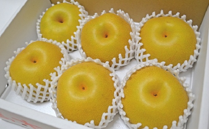 フルーツの里の直売所より 豊水梨 2.5kg ナシ 果物 先行予約