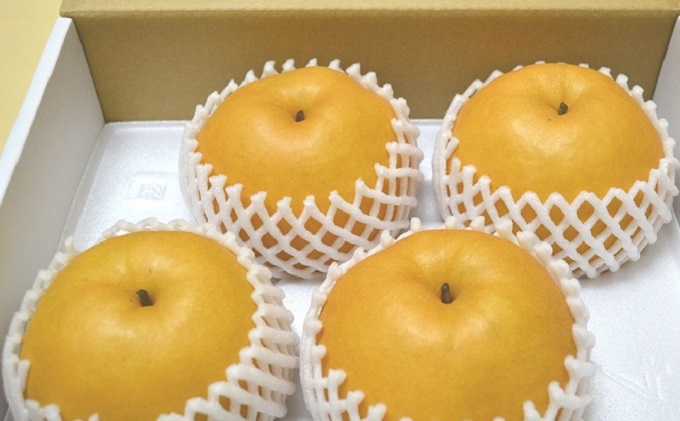 フルーツの里の直売所より 新高梨 5kg