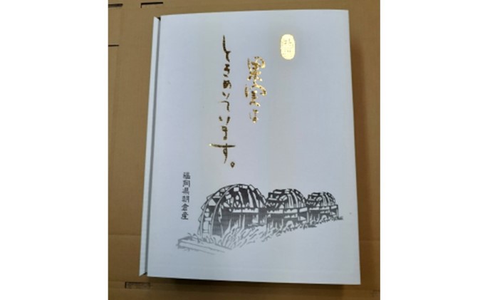 柿 3kg 朝倉 ぱぁ～しもん屋の柿 化粧箱入り