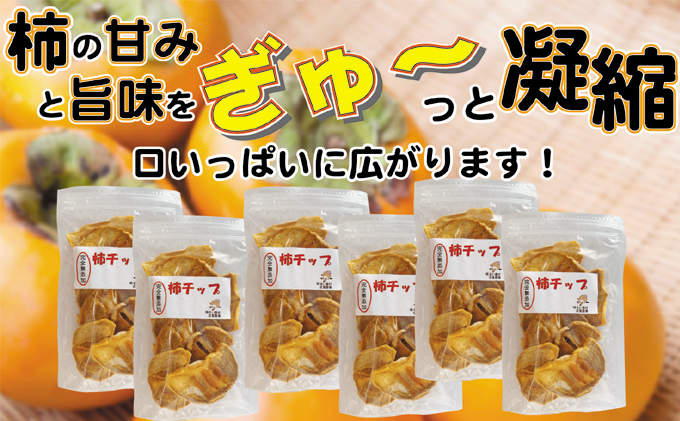 無添加ドライフルーツ（柿チップ）約60g×6