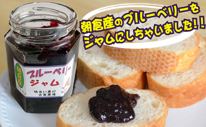 ブルーベリージャム 170g×4個