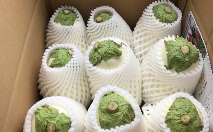 なす ナス 白なす 宝石野菜 9個入 茄子