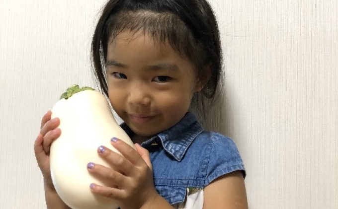 なす ナス 白なす 宝石野菜 桐箱 2個入 贈答 茄子