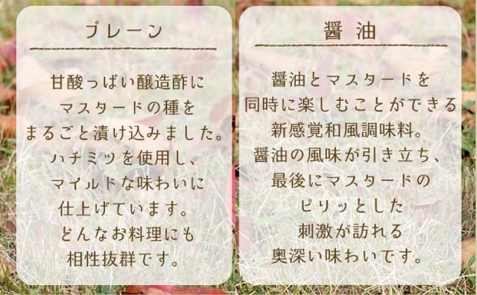 調味料 マスターネ プレーン しょう油 2本セット 100g×各1 マスタード 食べ比べ