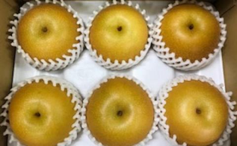 梨 豊水 まるで食べる梨ジュース！！ 甘熟 豊水梨 約2.5kg 4～7玉入 配送不可 離島