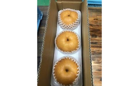 梨 新高梨 甘熟 味に自信あり！！約2.5kg 3～5玉入 配送不可 離島