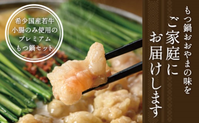 定期便 6回 もつ鍋 博多もつ鍋 おおやま みそ味 3人前 希少 