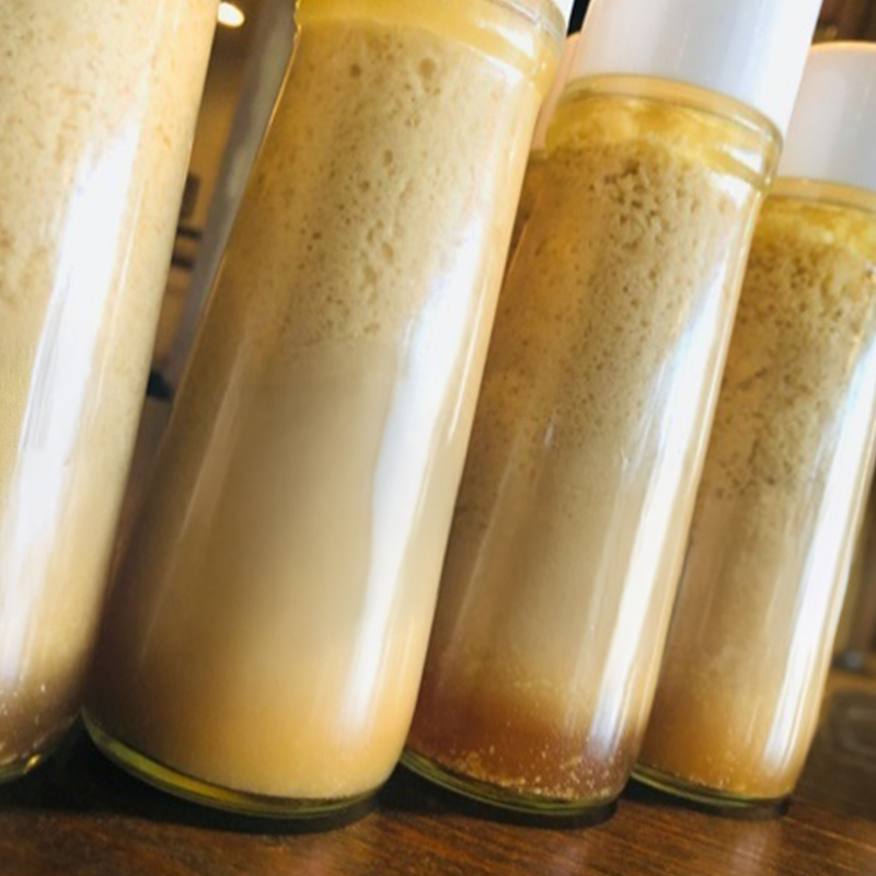 無添加 ドレッシング KAKIDORE 200ml×8本 セット 柿ドレッシング あさくらの恵み 調味料 朝倉 柿ベース ※配送不可：離島