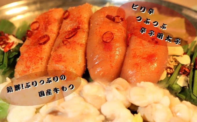 もつ鍋 六蔵 博多 明太もつ鍋 セット 5～6人前 (醤油味) ※配送不可：離島