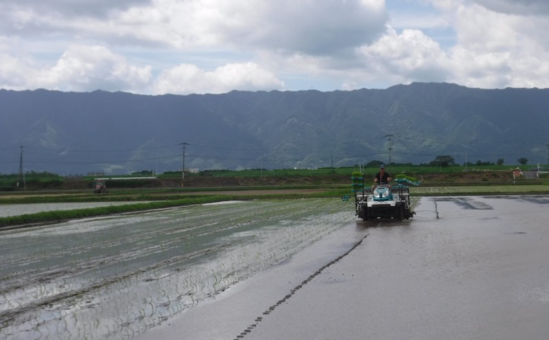 米 10kg 玄米 ゆめつくし