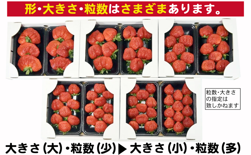 あまおう G以上 約1.04kg 約260g×4パック ※配送不可：北海道・東北・沖縄・離島