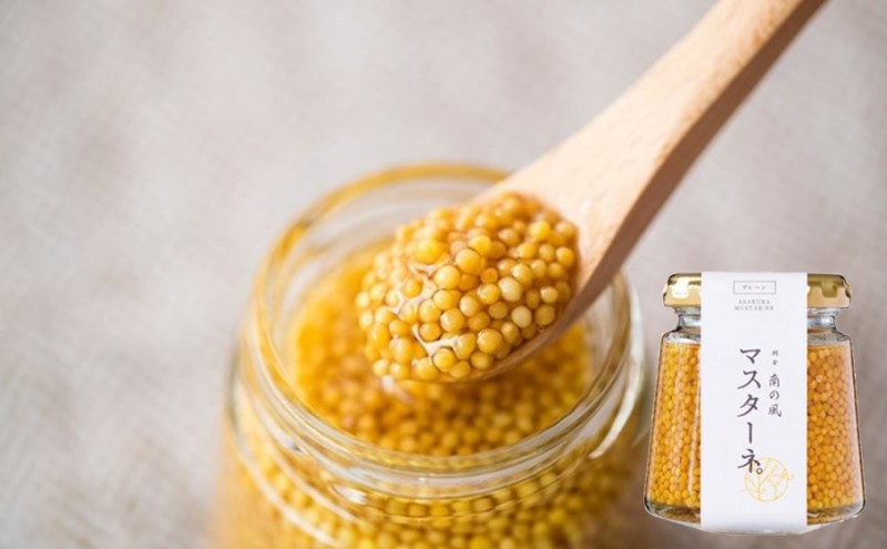 調味料 マスタード 2個 セット マスターネ。 プレーン 醤油 各120g 瓶 食べ比べ ※配送不可:離島