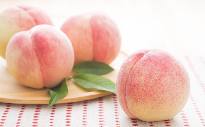 限定 数量 定期便 2回 桃 シャインマスカット 2026年 発送 フルーツ 夏のフルーツ定期便 果物 もも モモ マスカット デザート 朝倉 ※配送不可 離島