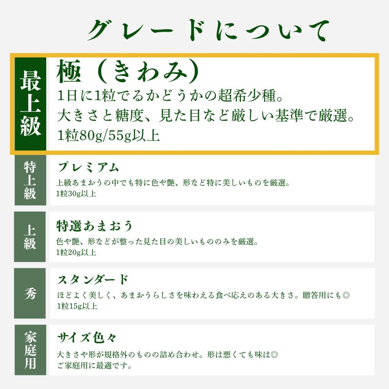 いちご 大粒 あまおう 苺 「極」 1粒55g以上 果物