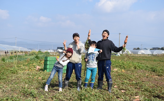 ジュース にんじん さちまる農園のにんじんジュース　710ml×2本