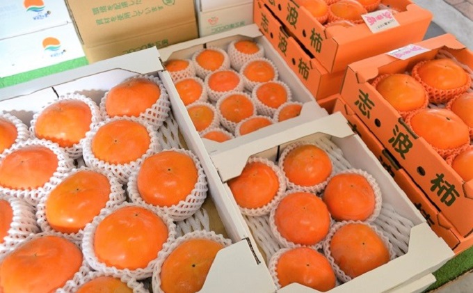 柿 富有柿 10～16玉 (約3～4kg) フルーツの里の直売所より 果物 かき 甘い サクサク食感 甘柿の王様 おやつ 子供