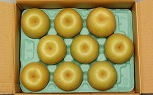 梨 幸水 2.8kg 2026年 発送 なし フルーツ 果物 くだもの デザート 筑前あさくら農協 配送不可 離島