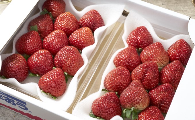 いちご あまおう 6パック 1Pあたり約250g 福岡のいちご！苺 本来の酸味と甘み 春 配送不可 離島