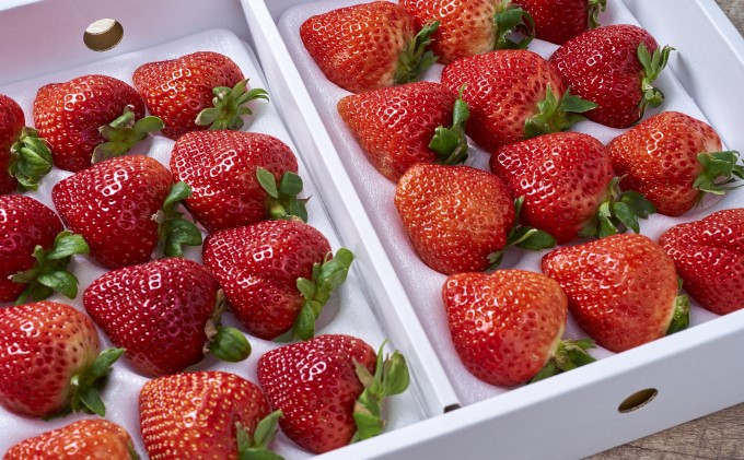 いちご あまおう 贈答用 24～30粒 福岡のいちご！苺 本来の酸味と甘み 配送不可 離島