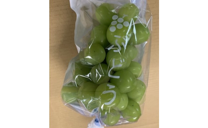 ぶどう シャインマスカット 2房 ゴルビー 2房 食べ比べ 約2kg 配送不可 離島