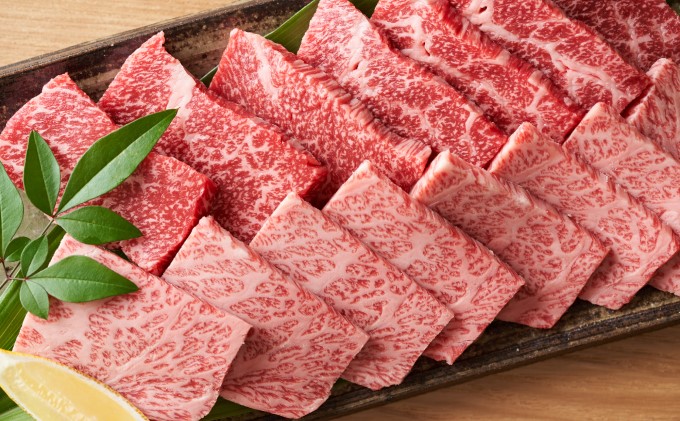 博多和牛 焼肉 セット 500g A4～A5 配送不可：離島 バーベキュー お肉 牛肉 バラ(カルビ) ロース