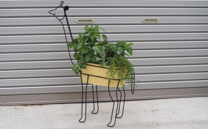 ハーブ 寄植え 7種 キリン型 アイアン鉢 配送不可 北海道 沖縄 離島