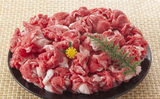 限定 牛肉 博多和牛 A4～A5 切り落とし 合計10kg（500g×20p）肩ロース 赤身 バラ カルビ 小分け 大好評につき継続！配送不可：離島