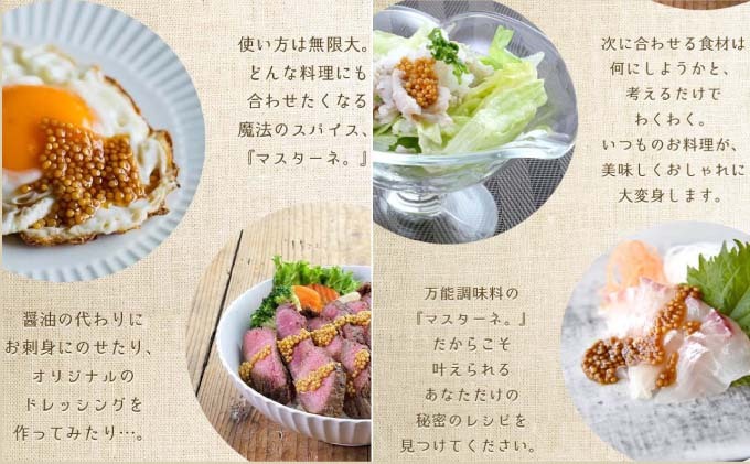 調味料 マスターネ プレーン しょう油 2本セット 100g×各1 マスタード 食べ比べ