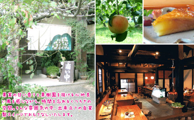 アップルパイ ホール 林檎と葡萄の樹 5号サイズ テレビや催事でも人気 酸味と甘さの絶妙なバランス 15cm 配送不可 離島 りんご 美味しい スイーツ こだわり