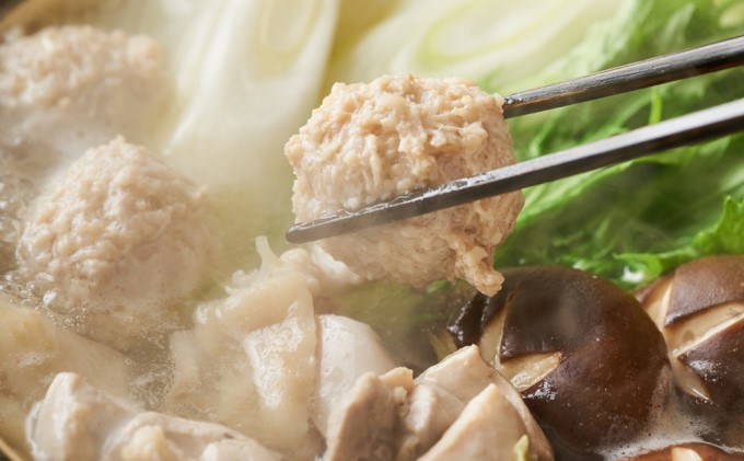 鶏 水炊き ハーブ鶏 九州産 2人前×2セット 計4人前 福岡県の名物 鶏水炊き 配送不可 離島