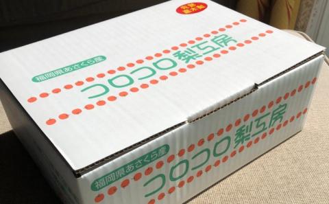 梨 豊水 まるで食べる梨ジュース！！ 甘熟 豊水梨 約2.1kg 4～7玉入 配送不可 離島