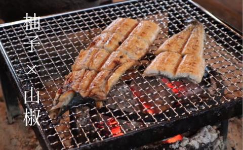 いのや。の3色 柚子胡椒セット（赤・黄・緑 各色60g）【ボックス付】×5※配送不可：離島