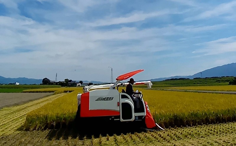 米 10kg 玄米 ゆめつくし