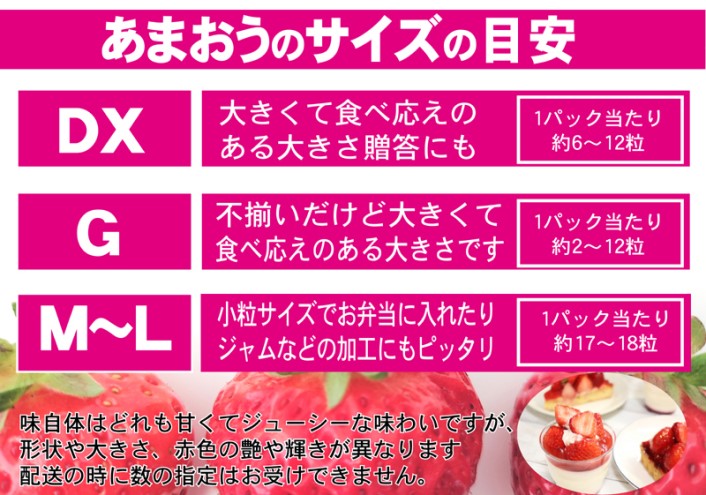 あまおう G以上 約1.04kg 約260g×4パック ※配送不可：北海道・東北・沖縄・離島